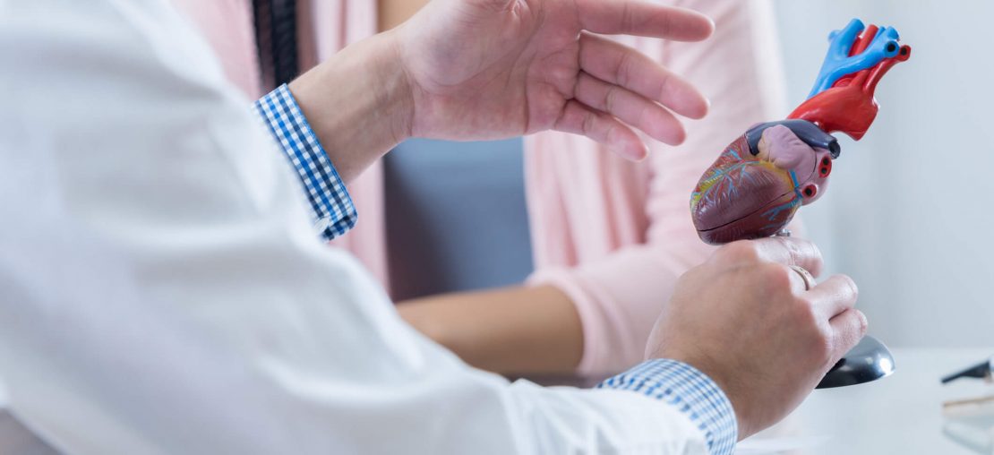 cirurgia no coração: médico com objeto da anatomia do coração em mãos mostrando para paciente.