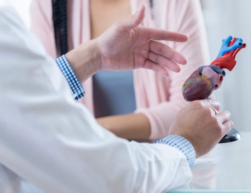 cirurgia no coração: médico com objeto da anatomia do coração em mãos mostrando para paciente.
