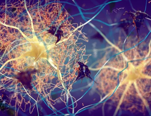 Representação de neurônios e suas conexões, destacando a complexidade das redes neurais no cérebro humano.
