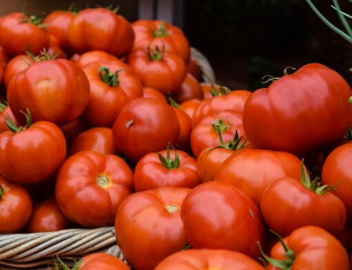 Uma cesta cheia de tomates